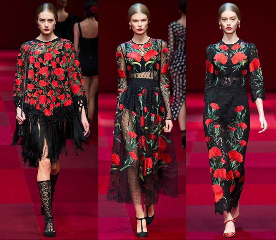 dolce and gabbana new collection